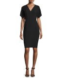 Lourdes Short-Sleeve Sheath Dress, Black