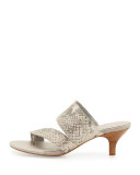 Ruge Asymmetric Snake-Embossed Thong Sandal, Stone