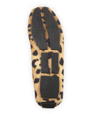 Roadster Leopard-Print Suede Driver, Leopard