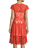 Talulah Cap-Sleeve Lace Dress, Flare