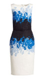 Sleeveless Floral Ombre Sheath Dress