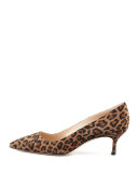 BB Leopard-Print Suede 50mm Pump, Leopard