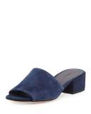Rachelle 2 Suede Block-Heel Mule Sandal
