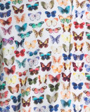 Butterfly-Print Sport Shirt, Multicolor