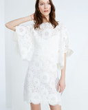 Flutter-Sleeve Lace Popover Sheath Dress