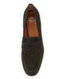 Sharon Embossed Suede Loafer, Black