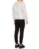 D2 Fighter Crewneck Graphic Sweatshirt, Gray