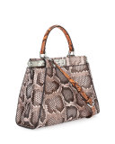 Peekaboo Medium Python Bag, Powder Multi