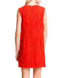 Ranya Sleeveless Lace Dress