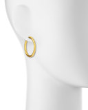 Skittle Collection 24k Hoop Earrings