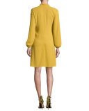 Long-Sleeve Pleated-Front Dress