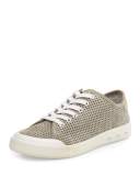 Standard Issue Perforated Suede Low-Top Sneaker, Gray