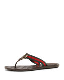 GG Web Thong Sandal, Cocoa