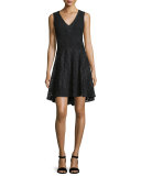 Fiorenza Sleeveless Lace A-Line Dress, Black
