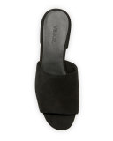 Rachelle 2 Suede Block-Heel Slide Sandal