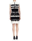 Fringe & Lace Paneled Sheath Dress, Ivory