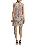 Sleeveless Lace Colorblock Mini Dress, Desert Rose
