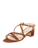Atrita Strappy Suede Sandal, Medium Brown