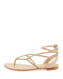 Crystal T-Strap Flat Sandal, Nude