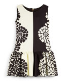 Sleeveless Floral Fit-and-Flare Dress, Black/Cream, Size 7-14
