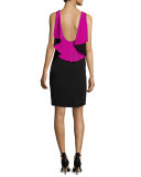 Sleeveless Ruffle-Back Colorblock Sheath Dress, Black