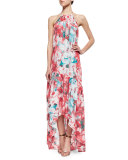 Kansa Floral-Print Tiered Dress, Salsa Monet