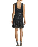 Sleeveless Sequined Lace A-Line Dress, Black