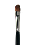 Eye Colour Brush