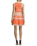 Bridget Paneled Lace A-Line Dress, Tangerine