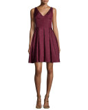 Coco Sleeveless V-Neck Fit & Flare Dress 