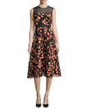 Fil Coupe Sleeveless Full-Skirt Dress, Shell/Black