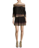 Lilith Embroidered Miniskirt