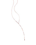 Flawless Expose Diamond Lariat Necklace in 14K Rose Gold
