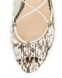 Aneska Snakeskin Lace-Up Open-Toe Flat, Natural