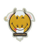 Zodiac Capricorn Sticker for Handbag