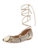 Faith Python-Print Lace-Up Ballerina Flat, Roccia
