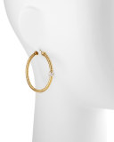 18k Yellow Gold Mini Primavera Hoop Earrings