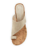 Gille Asymmetric Wedge Slide Sandal, Pewter