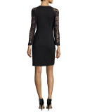 Lace-Sleeve Sheath Dress