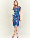 Venice Short-Sleeve Floral Lace Cocktail Dress, Blue/Multicolor