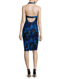 Halter-Neck Floral-Lace Cocktail Dress, Cobalt/Black