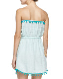 Villy Embroidered Strapless Dress, Alight