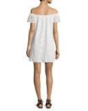 Off-The-Shoulder Lace Shift Dress