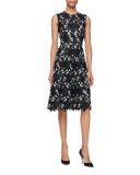 Seamed Floral Lace Dress, Black/Ivory
