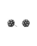 Osetra Hematine Stud Earrings