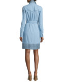 Savion Collared Chambray Wrap Dress, Light Indigo