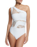 Elly One-Shoulder Lace-Panel One-Piece Swimsuit