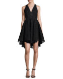 Cynthia Sleeveless Organza Fit-and-Flare Mini Dress, Black