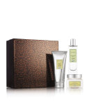 Limited Edition T-Time Tea Menthe Citron Collection ($95 Value)
