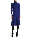 Long-Sleeve Merino Turtleneck Dress 